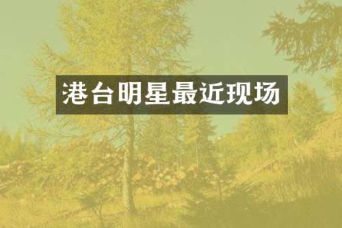 港台明星最近现场