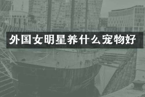 外国女明星养什么宠物好