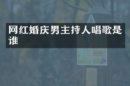网红婚庆男主持人唱歌是谁
