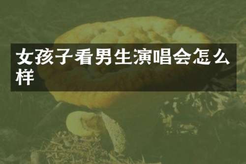 女孩子看男生演唱会怎么样