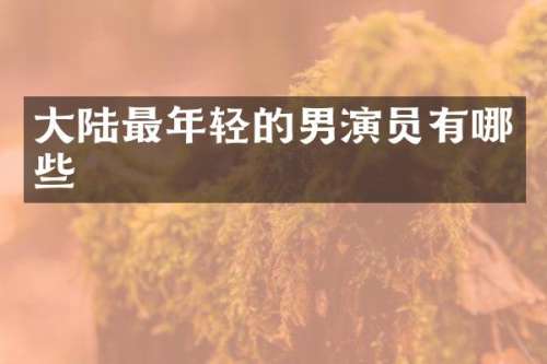 大陆最年轻的男演员有哪些