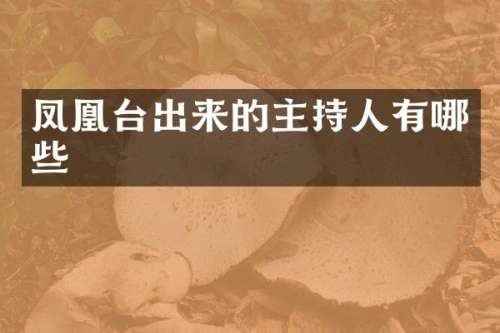 凤凰台出来的主持人有哪些