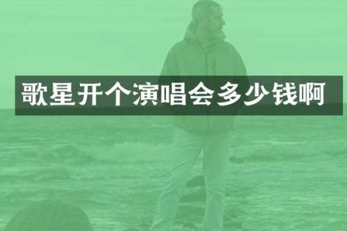 歌星开个演唱会多少钱啊