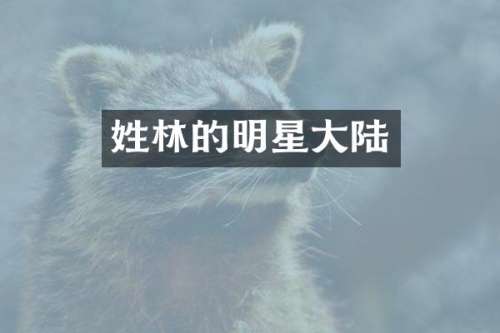 姓林的明星大陆