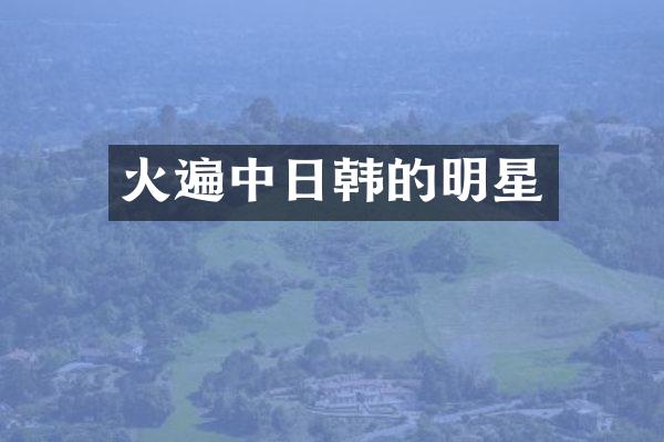 火遍中日韩的明星