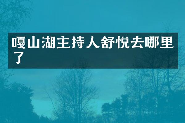 嘎山湖主持人舒悦去哪里了