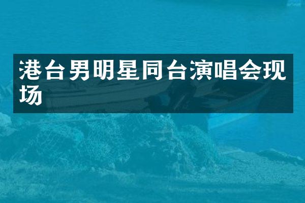 港台男明星同台演唱会现场