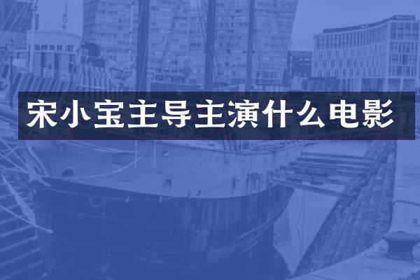 宋小宝主导主演什么电影