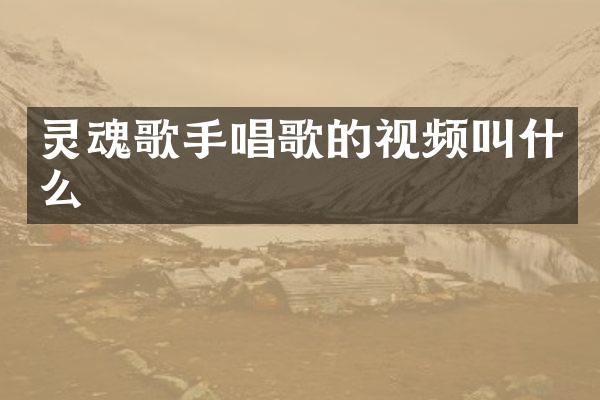 灵魂歌手唱歌的视频叫什么