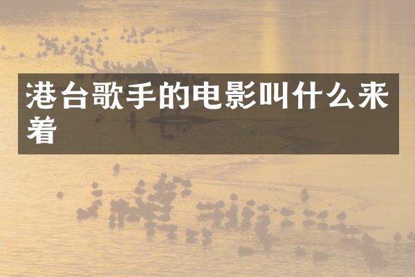 港台歌手的电影叫什么来着