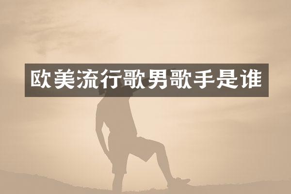 欧美流行歌男歌手是谁