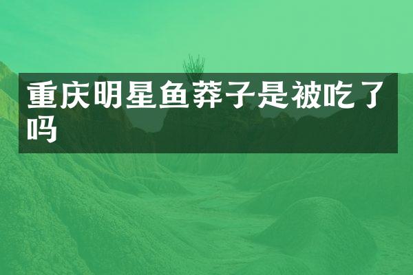 重庆明星鱼莽子是被吃了吗