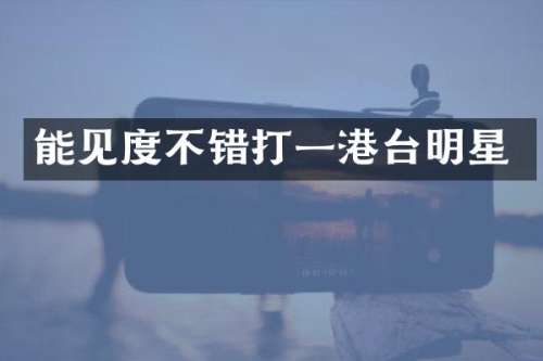 能见度不错打一港台明星