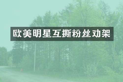 欧美明星互撕粉丝劝架