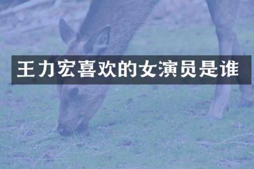 王力宏喜欢的女演员是谁