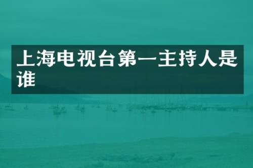 上海电视台第一主持人是谁