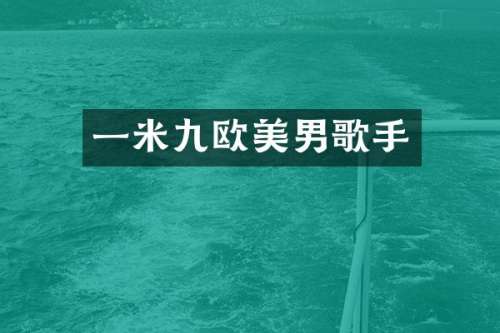 一米九欧美男歌手