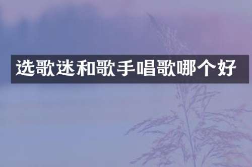 选歌迷和歌手唱歌哪个好
