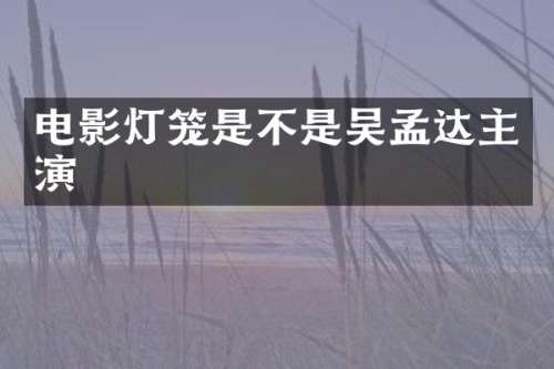 电影灯笼是不是吴孟达主演