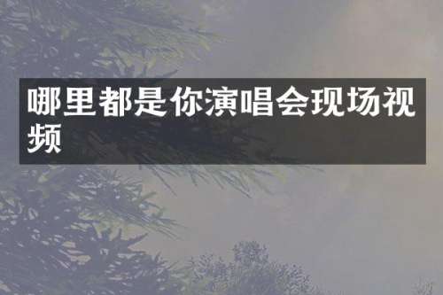 哪里都是你演唱会现场视频