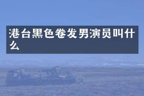 港台黑色卷发男演员叫什么