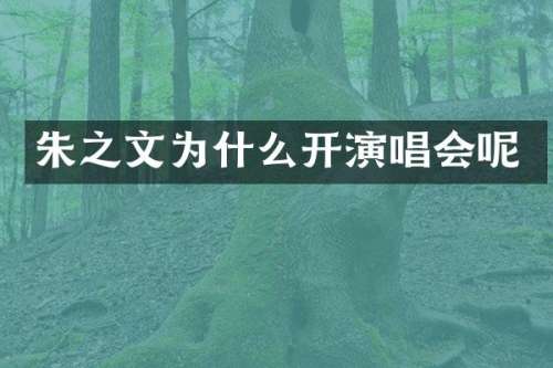 朱之文为什么开演唱会呢