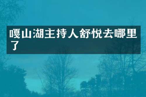 嘎山湖主持人舒悦去哪里了