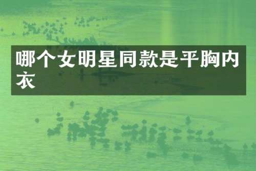哪个女明星同款是平内衣