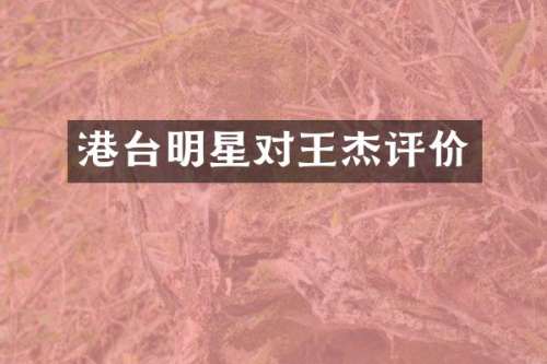 港台明星对王杰评价