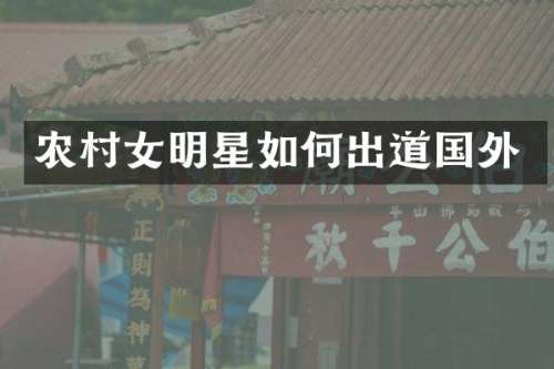 农明星如何出道国外