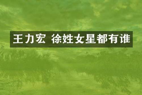 王力宏 徐姓女星都有谁