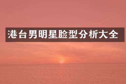 港台男明星脸型分析大全