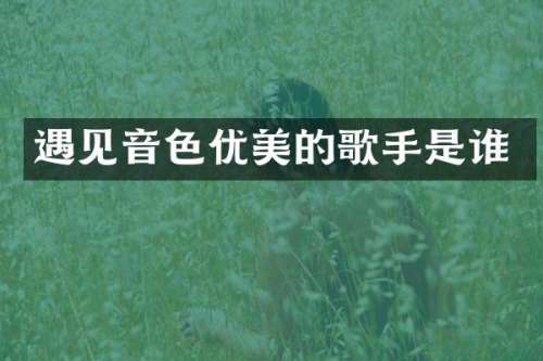 遇见音色优美的歌手是谁
