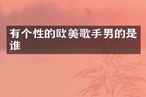 有个性的欧美歌手男的是谁