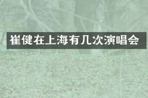 崔健在上海有几次演唱会
