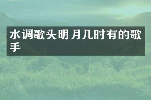 水调歌头明月几时有的歌手