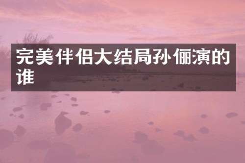 完美伴侣大结局孙俪演的谁