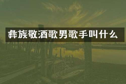 彝族敬酒歌男歌手叫什么