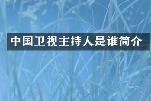 中国卫视主持人是谁简介