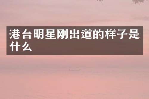 港台明星刚出道的样子是什么
