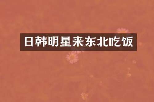 日韩明星来东北吃饭