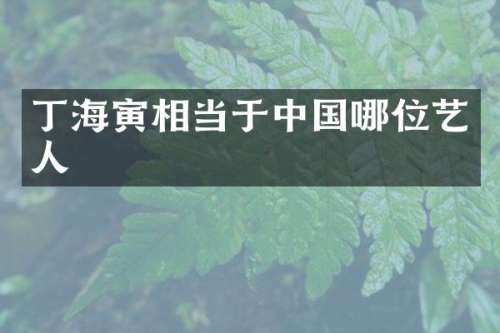 丁海寅相当于中国哪位艺人