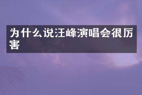 为什么说汪峰演唱会很厉害