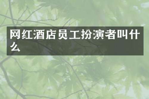 网红酒店员工扮演者叫什么