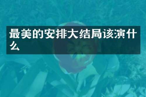 最美的安排大结局该演什么