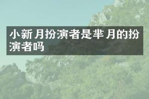 小新月扮演者是芈月的扮演者吗