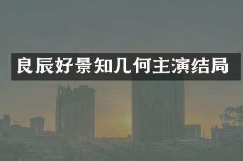良辰好景知几何主演结局