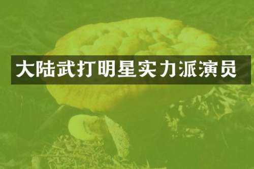 大陆武打明星实力派演员