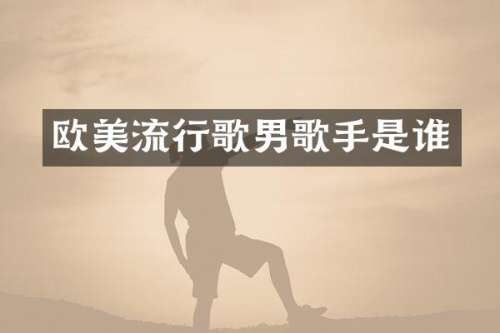 欧美流行歌男歌手是谁