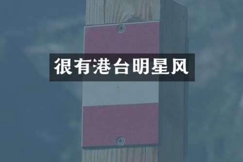 很有港台明星风